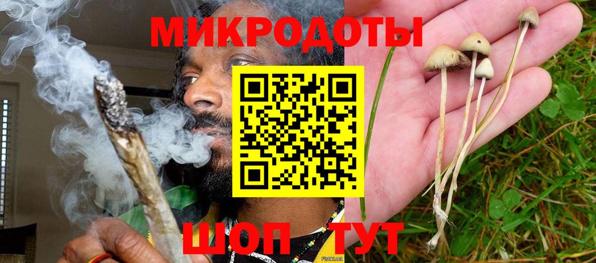 Галлюциногенные грибы Magic Shrooms Биробиджан