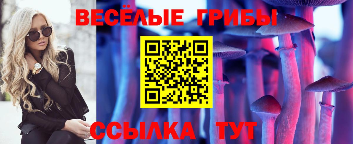 Псилоцибиновые грибы ЛСД  Вход с VPN  Биробиджан  Псилоцибиновые грибы Magic Shrooms 